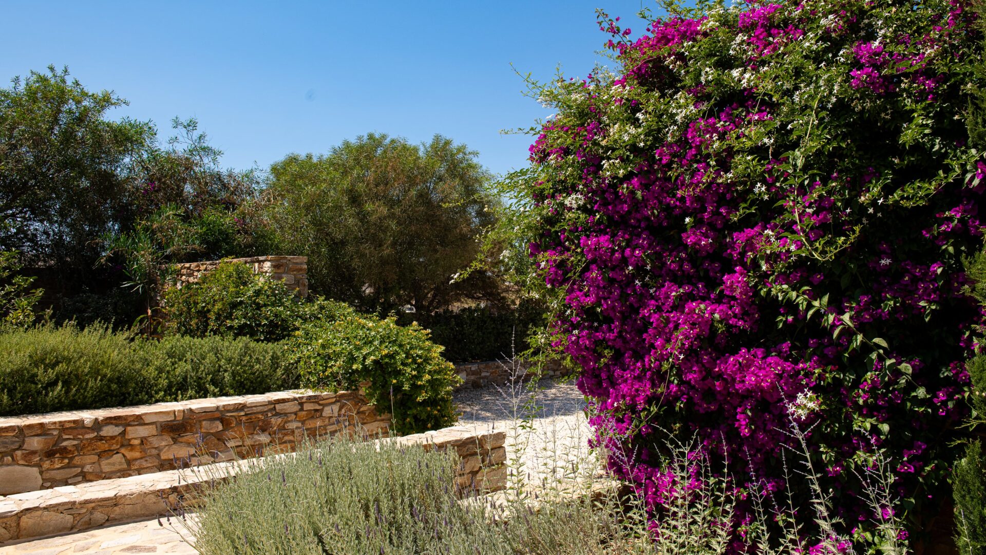 Garden view, west area-min