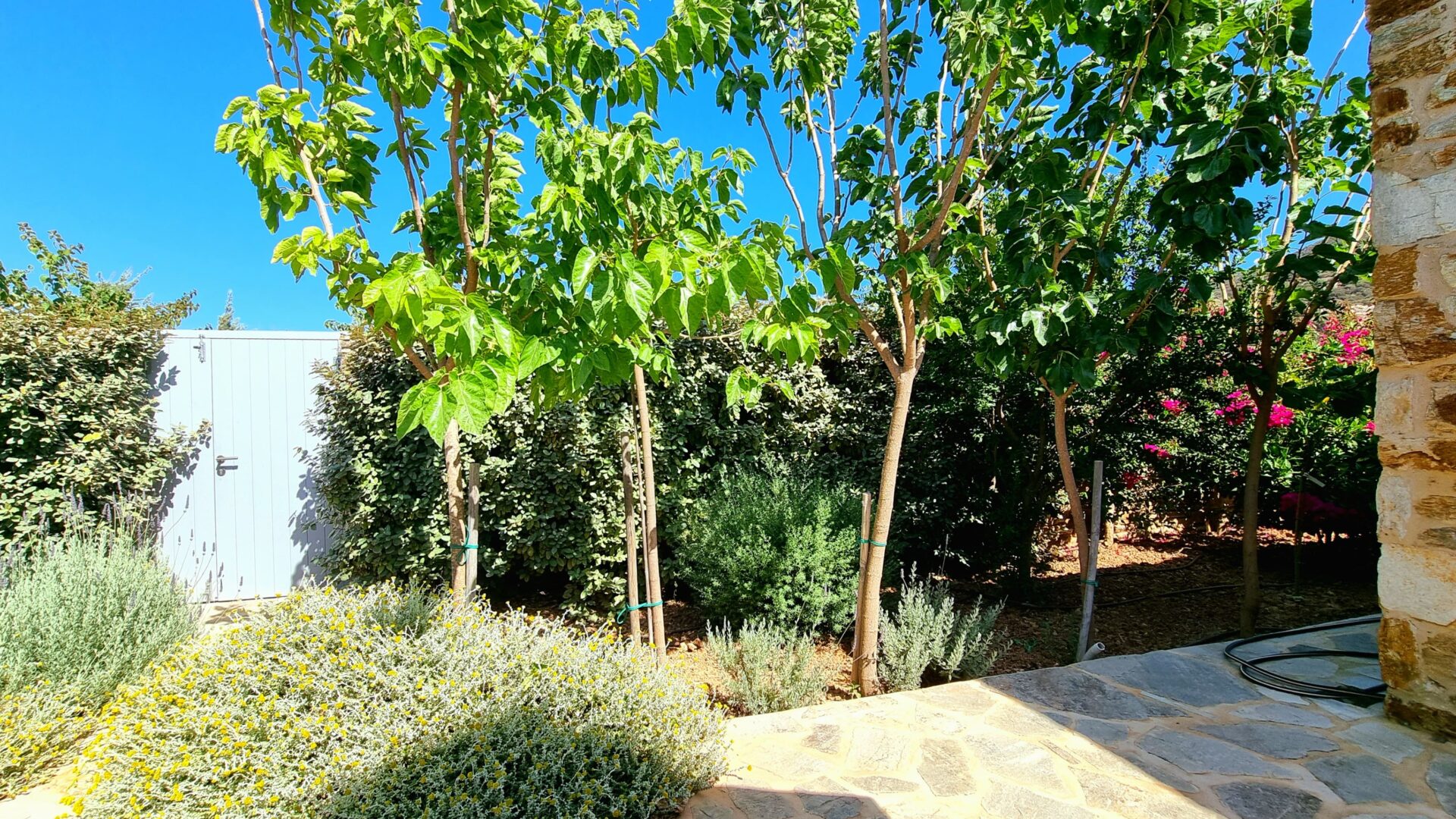 Guesthouse garden due SE-min