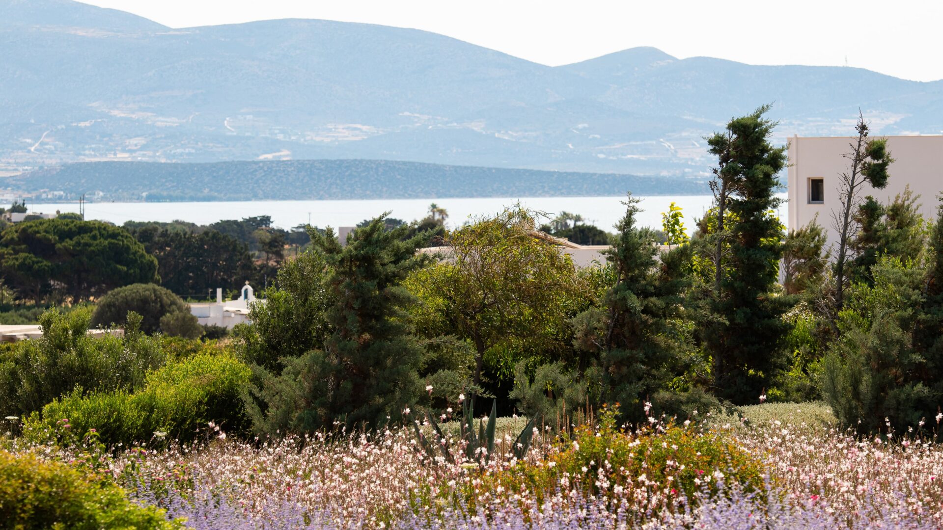 Looking East - 4-min