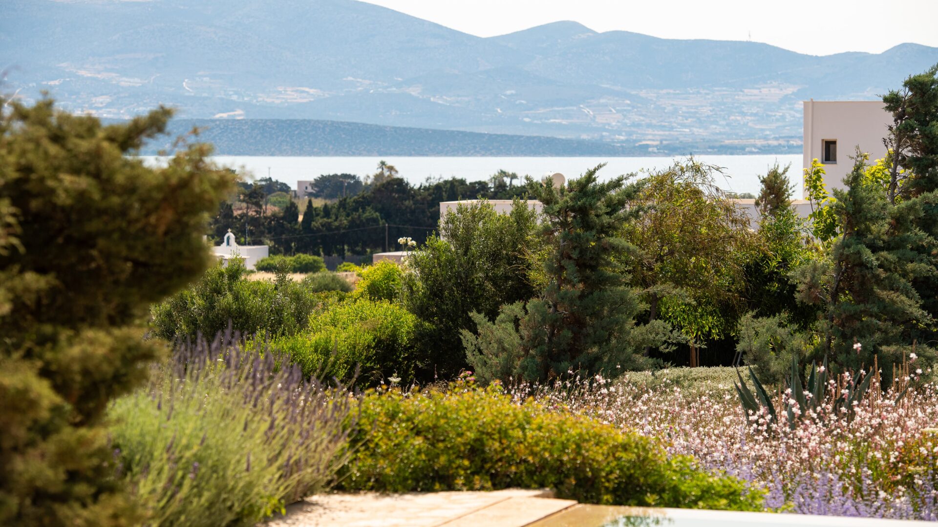 Looking East - 5-min