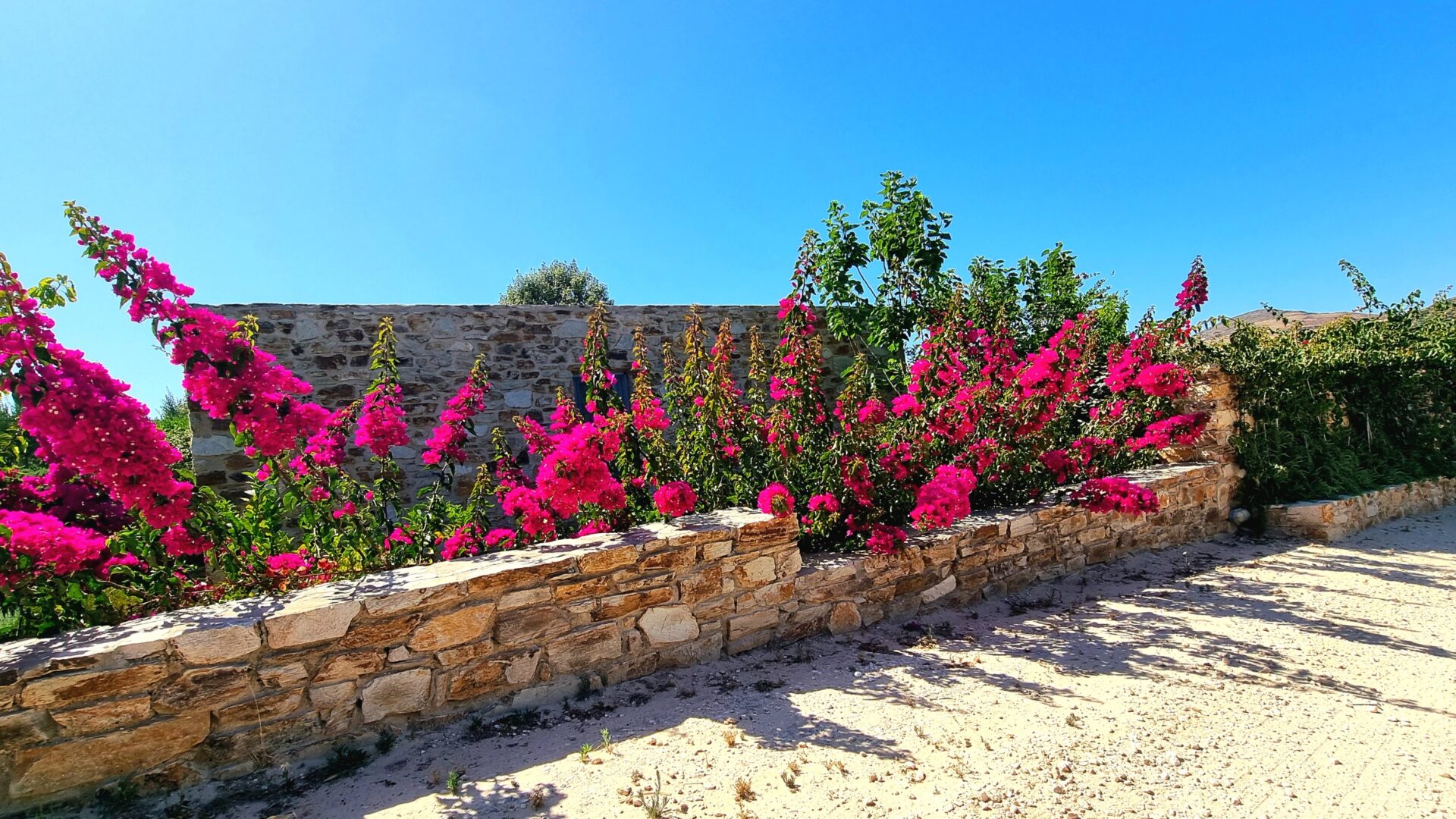 view of the guesthouse-min